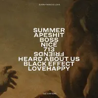 Sony bmg The Carters - Everything is Love | CD