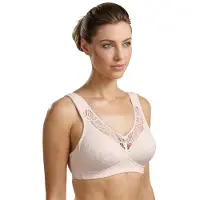 Susa Bh Susa apricot
