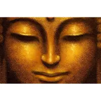 Nee Fotobehang Nataraja: Siddhartha 175x115 cm