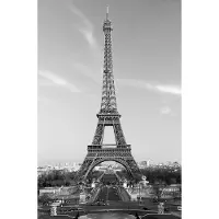 Wg Eiffeltoren - Fotobehang 183 x 254 cm