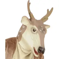 Finidi Origineel rendieren masker volwassenen