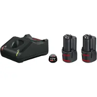 Bosch Professional 2x2.0ah Gal 12v-40 Starter Oplader En Batterij
