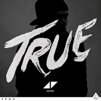 Universal Music True (Vinyl Edt)