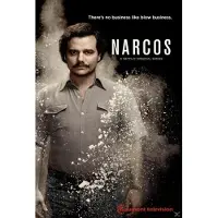 Gaumont Narcos: Seizoen 1 - DVD