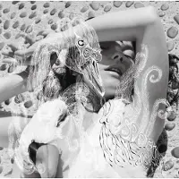 Konkurrent Björk - Vespertine (MC)