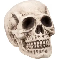 Boland Skelet hoofd Bigbrain (naturel)