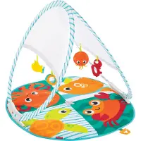 Fisher-Price Fold & Go Draagbare Gym
