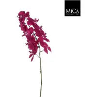 Mica Kunstbloem Phalaenopsis, hoogte 71 cm, ? 14 cm, violet