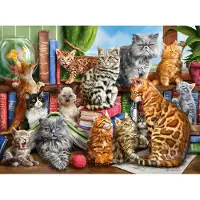 Castorland House of Cats Puzzel (2000 stukjes)