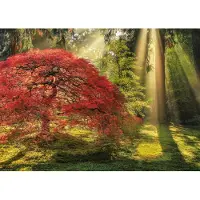 Heye Guiding Light (1000) - Legpuzzel