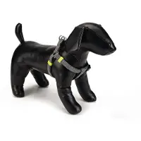 Beeztees Hondentuig nylon Vista 60-100cm donkergrijs