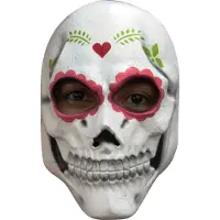 Haza Partychimp Gezichtsmasker Scary Catrina Pvc Wit One-size