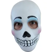 Ghoulish Zwart-wit Dia de los Muertos masker