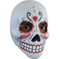 Ghoulish Kleurrijk Dia de los Muertos masker voor volwassenen