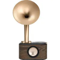 Sangean Radio WR-45X Gold