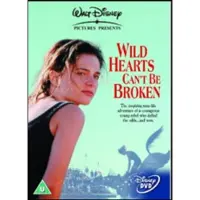 Disney Wild Hearts Can't Be Broken