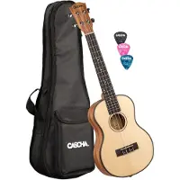 Cascha Hh 2154 Tenor Spruce Top