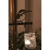 Birdwise - IJsvogel