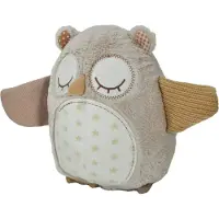 Cloud B Veilleuse Nighty Night Owl Smart Sensor