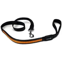 Beeztees Safety Gear looplijn Ruflo (USB)