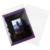 Packlinq Plastic Zakken 24,1x31,8cm Transparant en Hersluitbaar