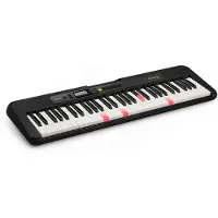 Casio Casiotone LK-S250