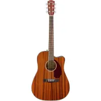 Fender Dreadnought Classic Design Wn Natural