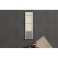 Brauer Onyx Spiegel 25x80 Cm - Frame Geborsteld Aluminium - Glas - Rechthoekig - Spiegels, Badkamerspiegels - 8720359339225