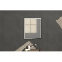 Brauer Onyx spiegel - 60x70cm - rechthoekig - aluminium-kleurig geborsteld frame SP-ON60RHA