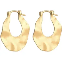 Elli Oorbellen goud