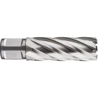 Rotec HSS Kernboor SILVER-LINE, weldon 19, ø29x55 - 536.2901W - 536.2901W