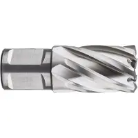 Kippers Rijssen HSS Kernboor SILVER-LINE, weldon 19, ø33x30 - 536.3300W