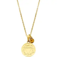 CO88 Collection Collection Chakra 8CN 26055 Stalen Collier met Hanger - Solar Plexus Chakra en Kristal - Lengte 42 + 5 cm - Goudkleurig / Oranje