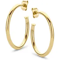 CO88 Collection Elegante Gouden Damesoorbellen - CO88 Collectie 8CE-70060