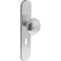 Intersteel Knop op schild met sleutelgat maat 56 mm rvs geborsteld