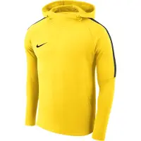Nike Sportsweatshirt 'Dry Academy 18'