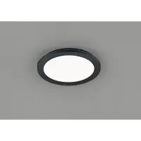 TRIO Plafondlamp Camillus Rond Zwart Middel