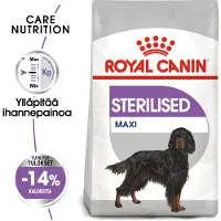 Royal Canin Maxi Sterilised 9kg