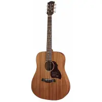 Richwood Akoestische gitaar dreadnought D-50