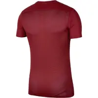 Nike Functioneel shirt 'Dry Park VII' bourgogne / wit