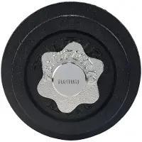 Tunturi Dumbbell 1x 10 kg