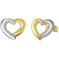 Lucardi Oorbellen 'Klassisch' goud / zilver