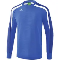 Erima Sweater Erima Sweatshirt Liga 2.0 heren