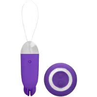 Simplicity Noah – Dual Oplaadbare Vibrating Draadloos ei – Paars