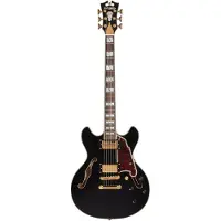 D'angelico Excel Mini Dc Black