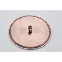 Saniclear Copper hoofddouche 30cm koper geborsteld