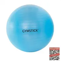 Gymstick Active Fitnessbal - Blauw - 75 cm