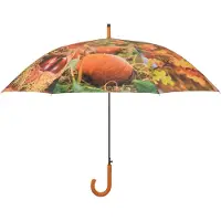 Esschert Design Paraplu Indra Herfst D 120 H 95 Cm