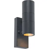 QAZQA Buitenwandlamp antraciet IP44 met licht-donker sensor - Duo