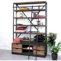 SoHome Industriele Wandkast / Boekenkast Juli?n met ladder